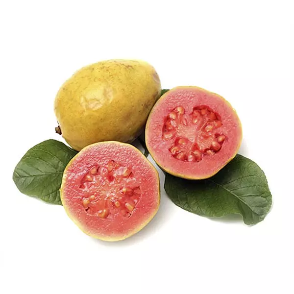 Guayaba Megafruver
