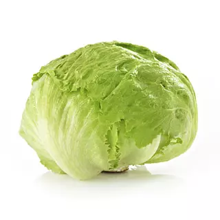 Lechuga Batavia Megafruver