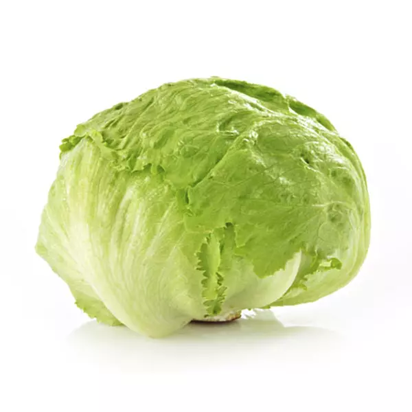 Lechuga Batavia Megafruver